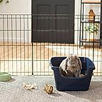 Frisco High Sided Small Pet Litter Box