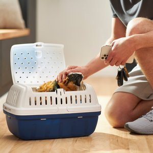 Frisco Top Entry Two-Toned Small Pet Carrier, Small