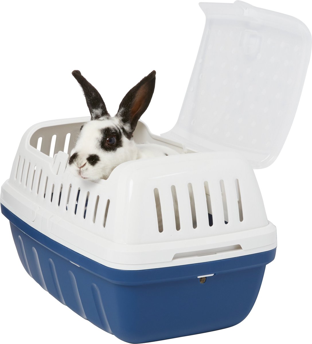 Top entry cat on sale carrier