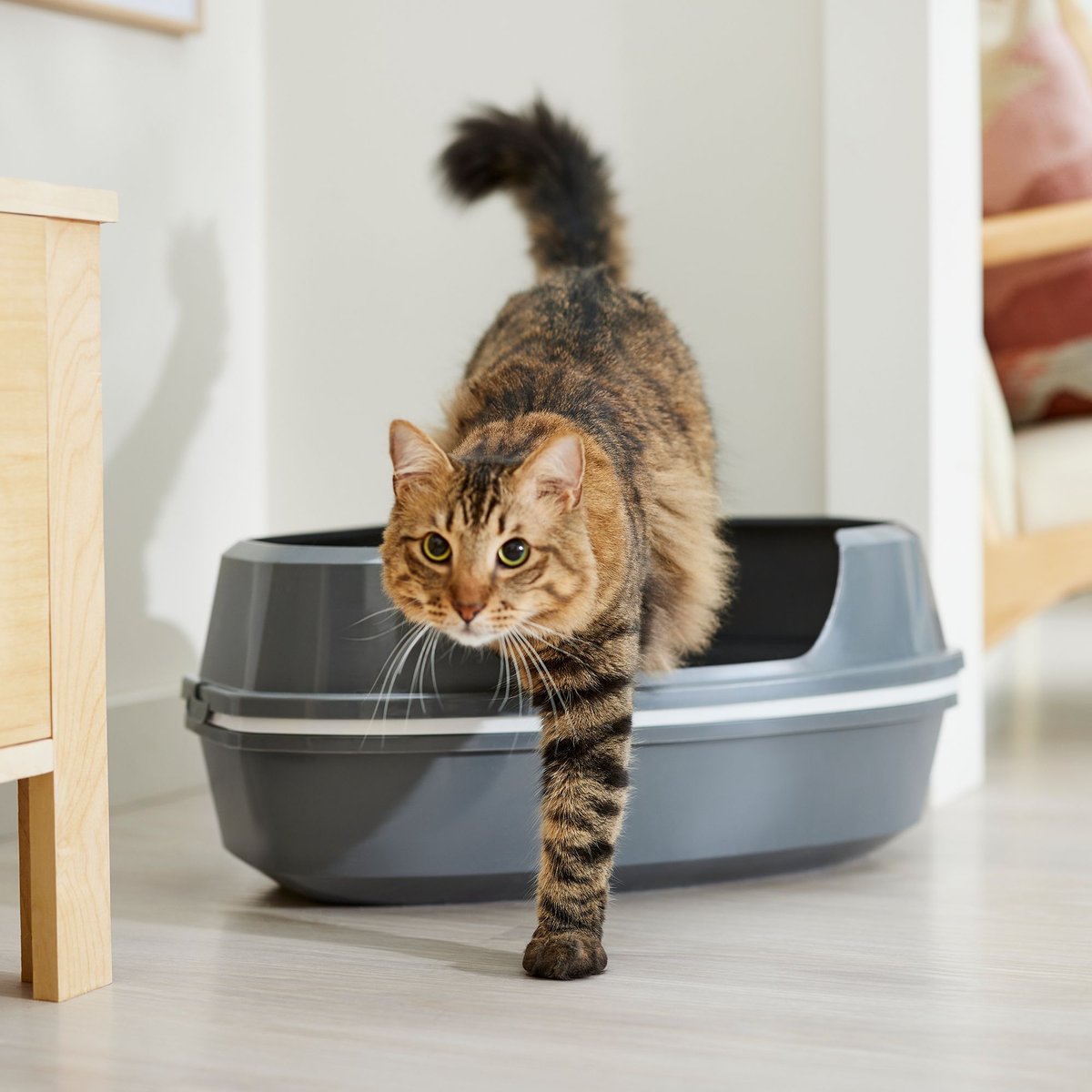 Sift away cat outlet litter box