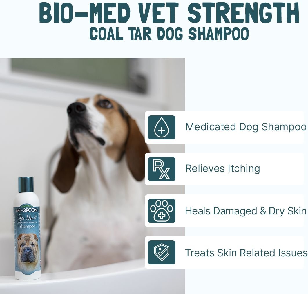 Coal tar dog shop shampoo pets at home