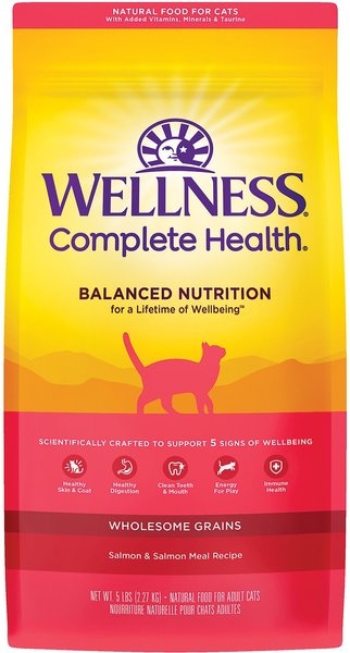 Wellness Complete Health Salmon Adult Dry Cat Food, 5-lb bag slide 1 of 8