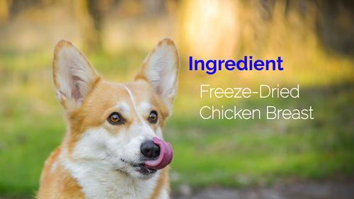 Show full view: Waveland Paws Chicken Freeze-Dried Grain-Free Dog & Cat Treats, 4-oz bag slide 5 of 6