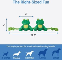 Frisco Magic Frog Plush with Rope Squeaky Dog Toy slide 2 of 3
