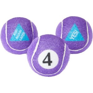 Frisco Magic Fortune Fetch Squeaky Tennis Ball Dog Toy, 3 count