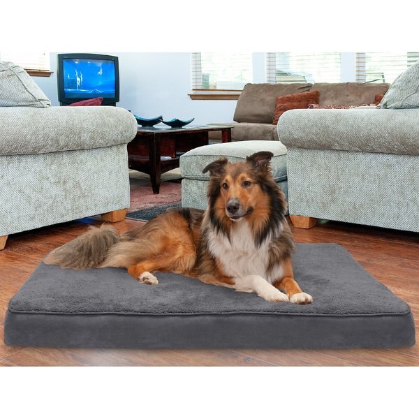 FURHAVEN Snuggle Deluxe Orthopedic Pillow Cat & Dog Bed with Removable