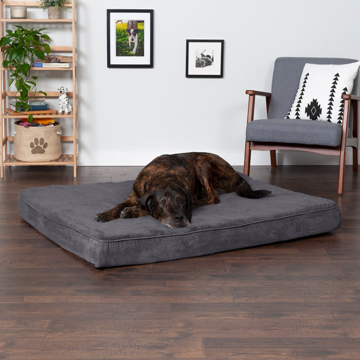 FurHaven Terry Top Throw Pillow Dog Bed with Removable Cover