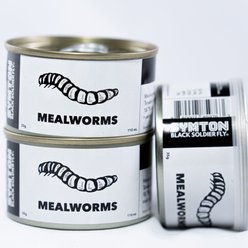 Symton Mealworms Canned Reptile Treats, 35-g, count of 3 slide 2 of 4