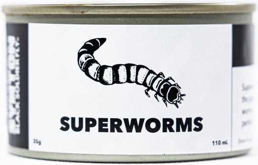 Symton Superworms Canned Reptile Treats, 35-g, count of 3