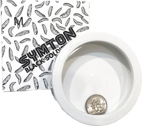Symton No-Escape Ceramic Reptile Food Bowl, Medium slide 1 of 3