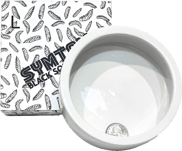 Symton No-Escape Ceramic Reptile Food Bowl, Large slide 1 of 3