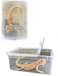 Symton Reptile Structure Reptihome Plastic Reptile Terrarium, Small