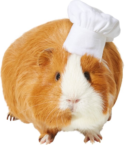 Frisco Chef Guinea Pig Costume Hat, One Size, White slide 1 of 5