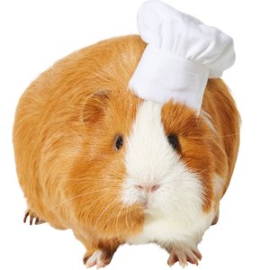 Frisco Chef Guinea Pig Costume Hat, One Size, White