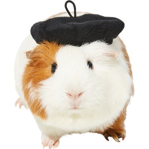 Frisco French Beret Guinea Pig Costume Hat, One Size, Black