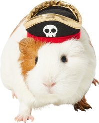 Frisco Pirate Guinea Pig Costume Hat, One Size, Black