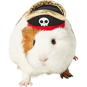 Frisco Pirate Guinea Pig Costume Hat, One Size, Black