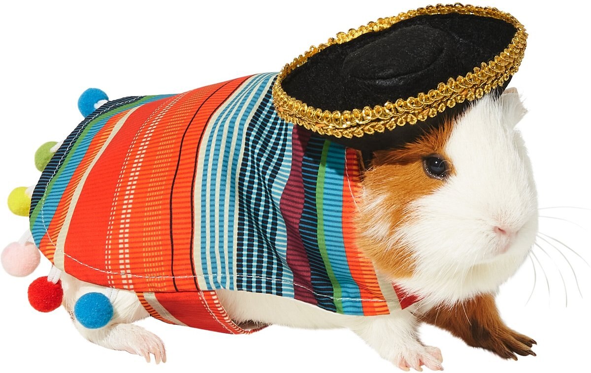 FRISCO Serape Guinea Pig Costume One Size Multi Color Chewy