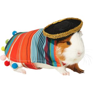 Frisco Serape Guinea Pig Costume, One Size, Multi Color