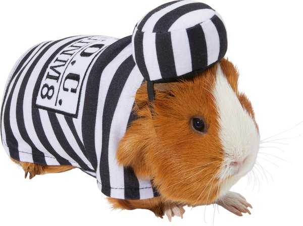 Frisco Prisoner Guinea Pig Costume, One Size, Multi Color slide 1 of 7