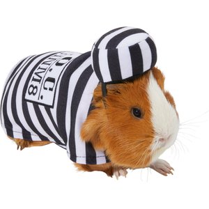 Frisco Prisoner Guinea Pig Costume, One Size, Multi Color