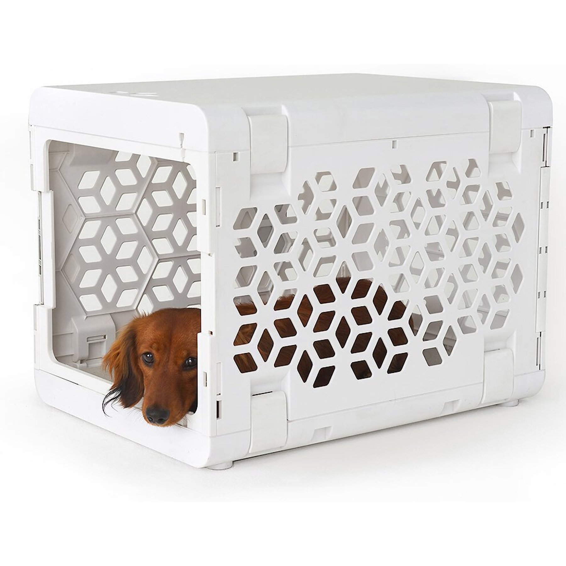 Contemporary Collapsible Dog Crates : revol dog crate