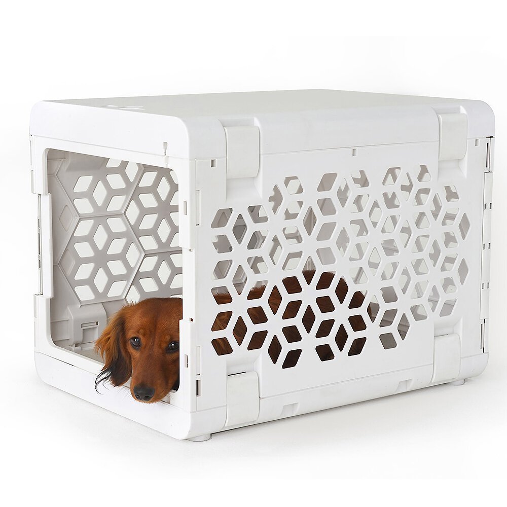 KINDTAIL Pawd Collapsible Dog & Cat Crate Customer Questions