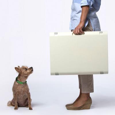 Show full view: KindTail Pawd Collapsible Dog & Cat Crate, White slide 4 of 6