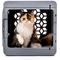 Show in main carousel: KindTail Pawd Collapsible Dog & Cat Crate, Grey slide 6 of 8