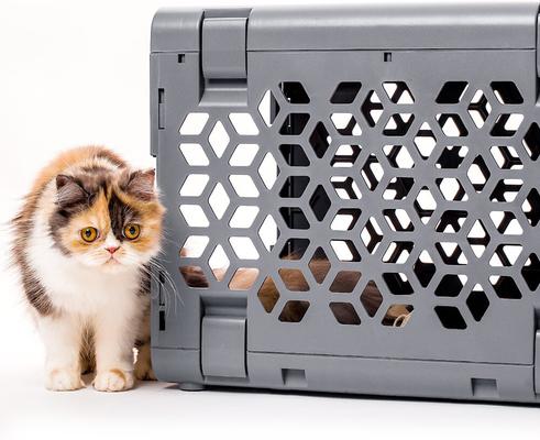 Show full view: KindTail Pawd Collapsible Dog & Cat Crate, Grey slide 7 of 8
