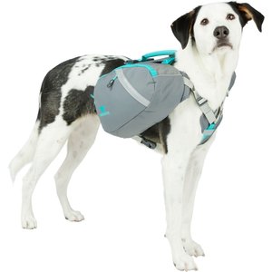 Kurgo Baxter Blue Dog Backpack, Medium