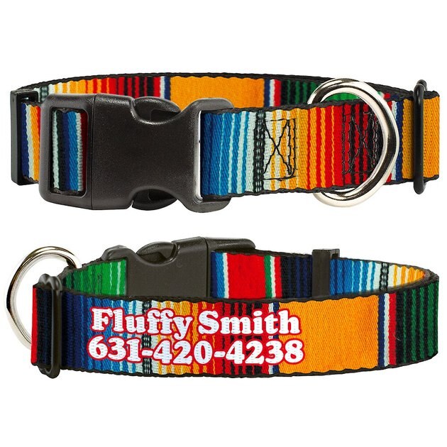 BUCKLEDOWN Polyester Personalized Dog Collar, Zarape, Large