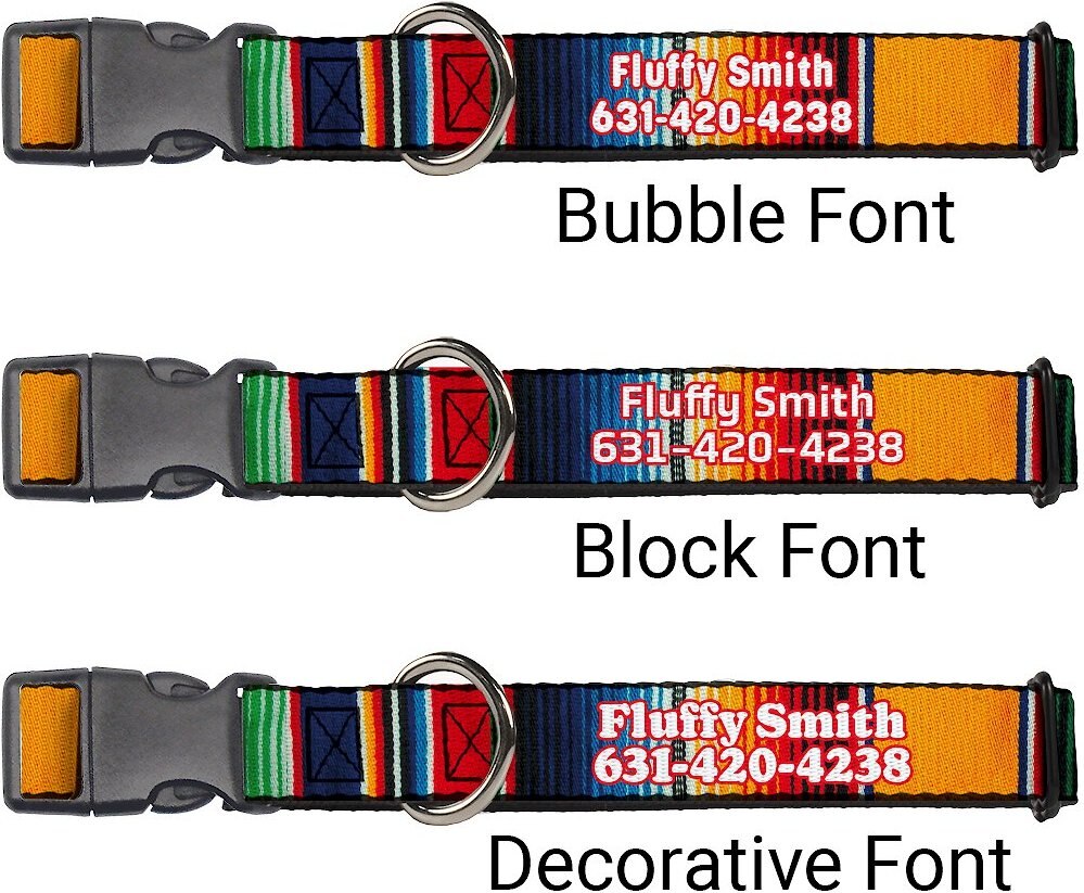 BUCKLEDOWN Polyester Personalized Dog Collar, Zarape, Large