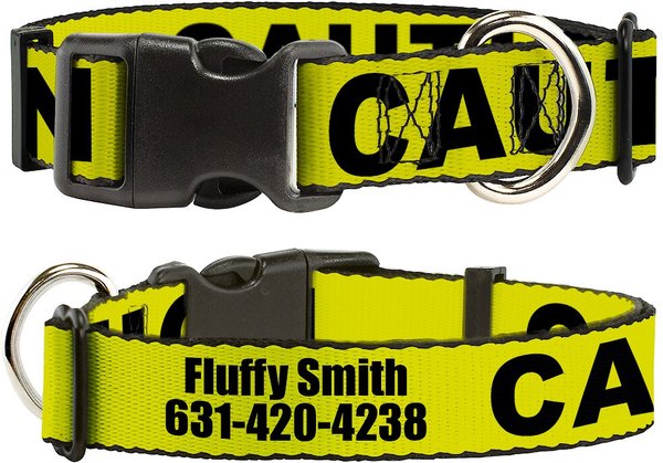 Buckle-Down Polyester Personalized Dog Collar, Caution