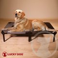 Lucky Dog Comfort Cot Elevated Dog Bed with Removable Cover, Gray, Large