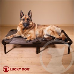 Lucky Dog Comfort Cot Elevated Dog Bed with Removable Cover, Gray, X-Large