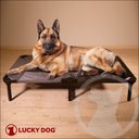 Lucky Dog Comfort Cot Elevated Dog Bed w/ Removable Cover, Gray, X-Large