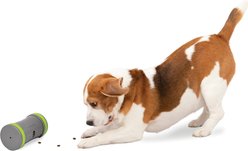 PetSafe Kibble Chase Roaming Treat Dropper Dog Toy