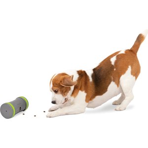 PetSafe Kibble Chase Roaming Treat Dropper Dog Toy