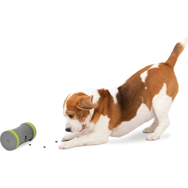 Flirt Pole, Dog Chase Exercise Toy from Squishy Face Studio – Pet