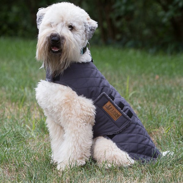 3 Dog Pet Supply Softshell Personalized Dog Jacket, Slate, Small slide 1 of 5