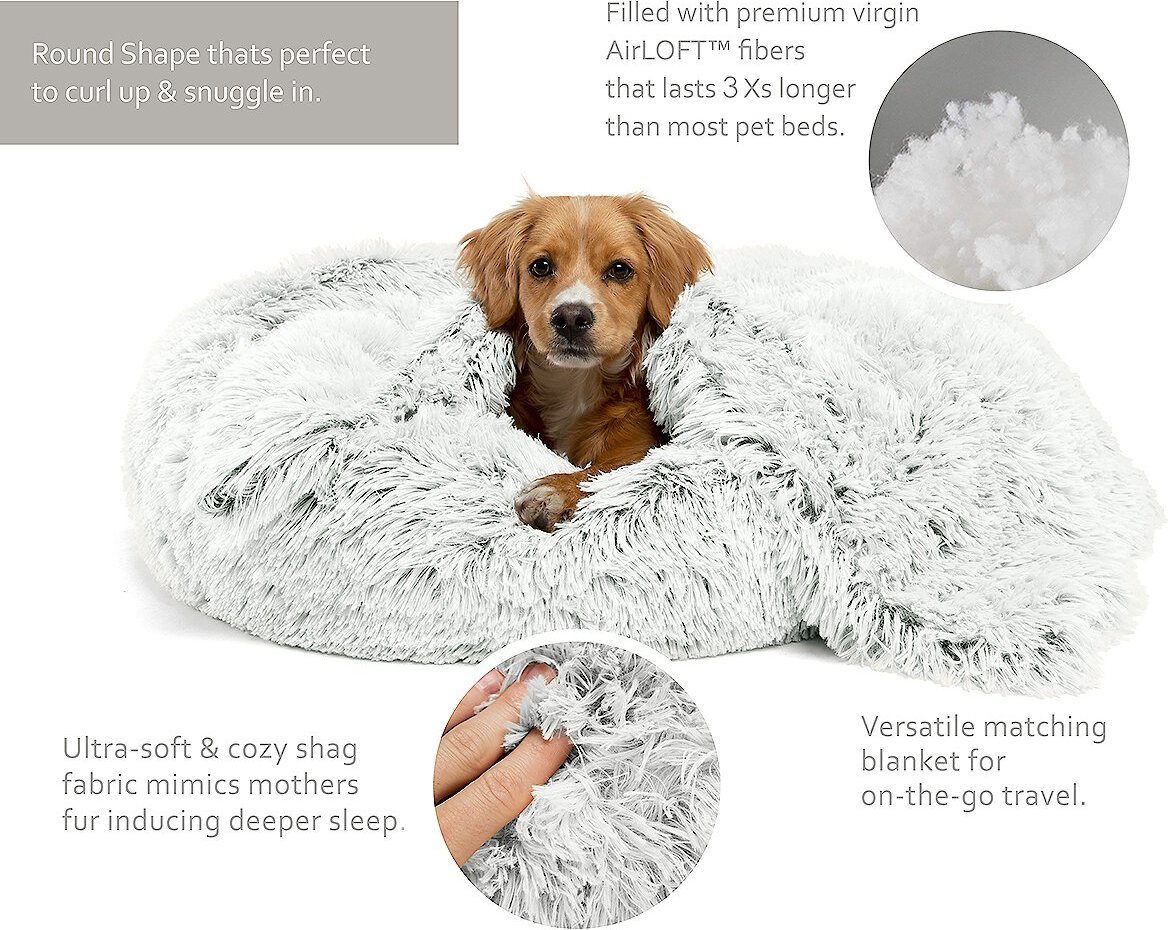 Dog blanket online chewy