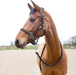 Horze Equestrian Cooper Halter Horse Lead Ropes, Black, Cob