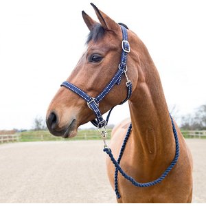 Diamond Braid Reflective Rope Halter and Lead, Raspberry/Gray - Weaver  Leather Equine – Weaver Equine