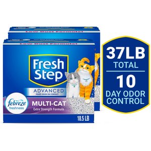 Fresh step 34 lb best sale