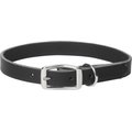 Frisco Top Grain Leather Collar, 19 - 22-in, Black