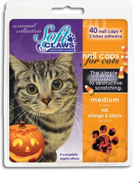 60 Pack Amethyst Glitter Soft Nail Caps for Cats Pretty Claws - Small -  Walmart.com