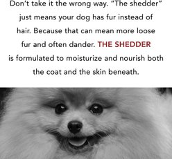 Pride+Groom The Shedder Dog Shampoo, 16-fl oz bottle slide 2 of 7