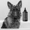 Show in main carousel: Pride+Groom The Shedder Dog Shampoo, 16-fl oz bottle slide 3 of 7