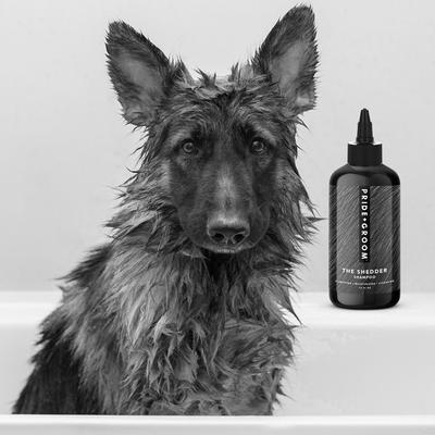 Show full view: Pride+Groom The Shedder Dog Shampoo, 16-fl oz bottle slide 3 of 7